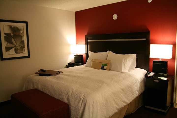 Hampton Inn & Suites Detroit/Airport Romulus Zimmer foto